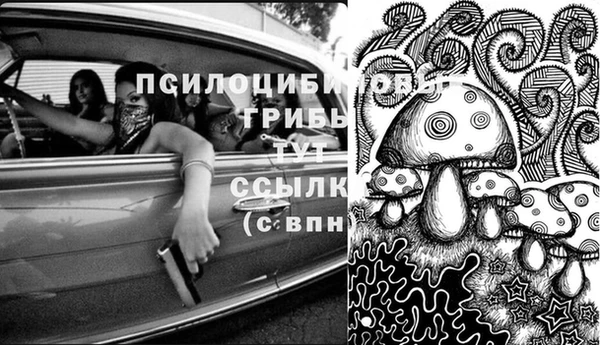 молекула духа Остров