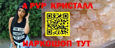 гашик Будённовск