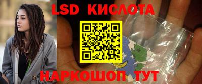 гашик Будённовск
