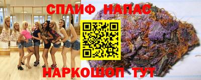 гашик Будённовск