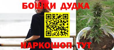 гашик Будённовск