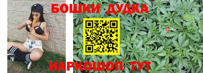 гашик Будённовск