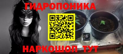 гашик Будённовск