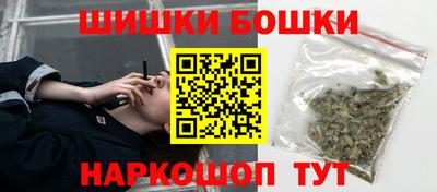 гашик Будённовск