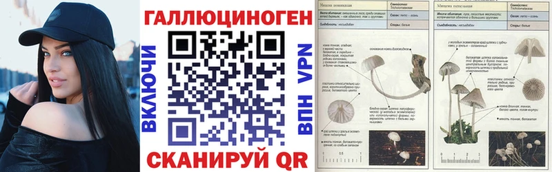 OMG ССЫЛКА  Советская Гавань  Псилоцибиновые грибы мицелий 