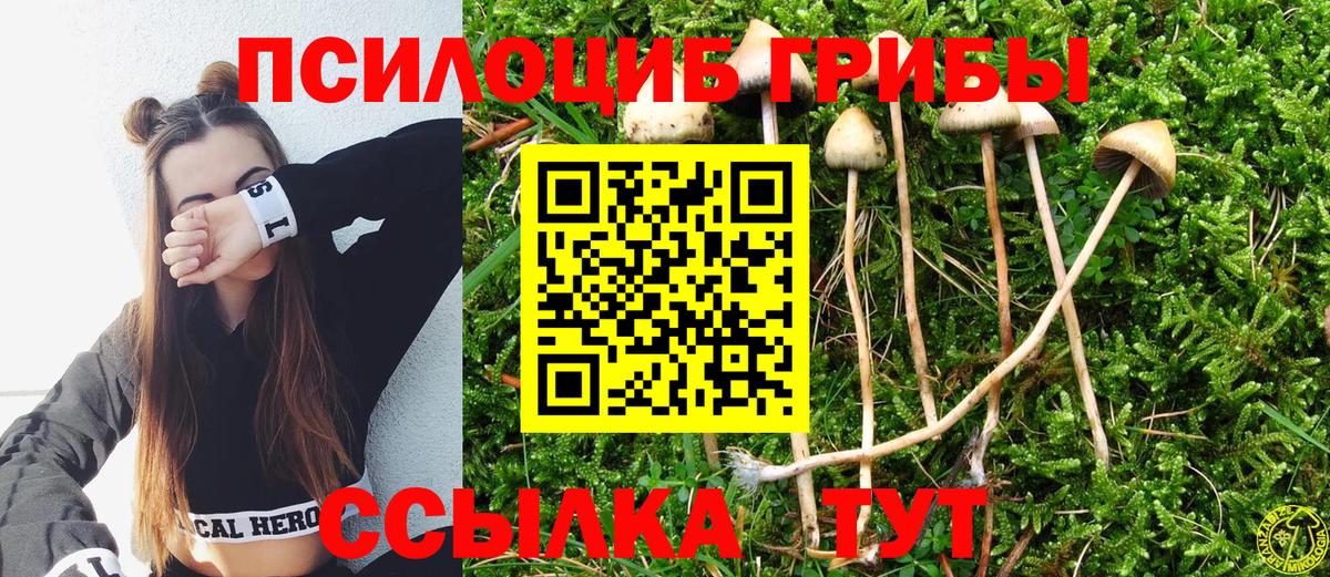 Псилоцибиновые грибы мухоморы Советская Гавань